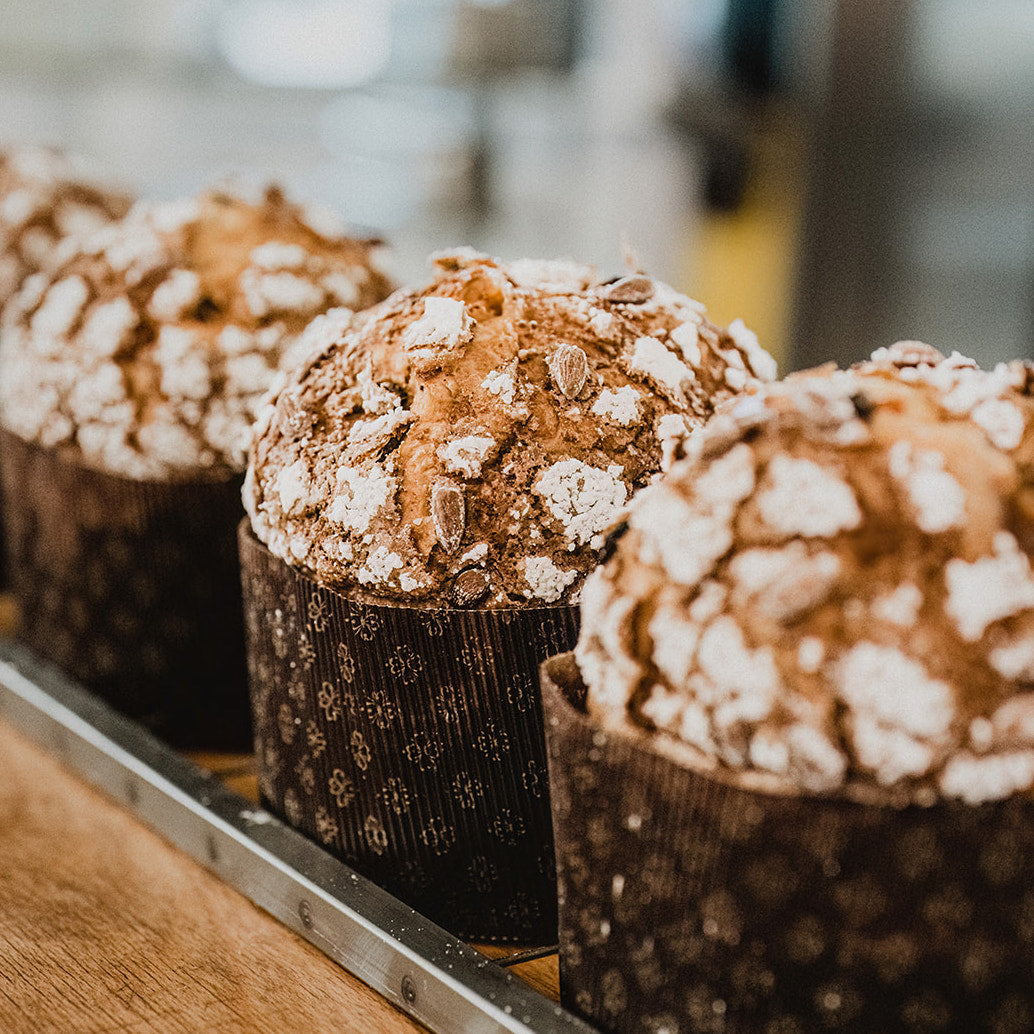 Chocolate Panettone 1kg